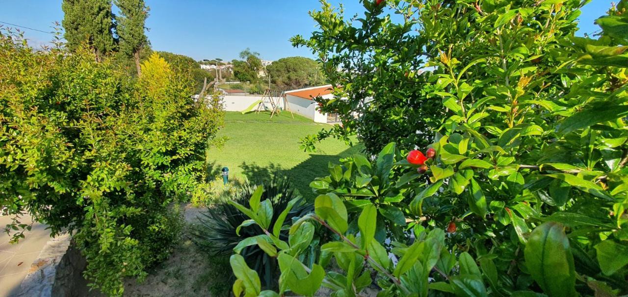 Villa Margarida By Laranjal Rentals Albufeira Exterior photo